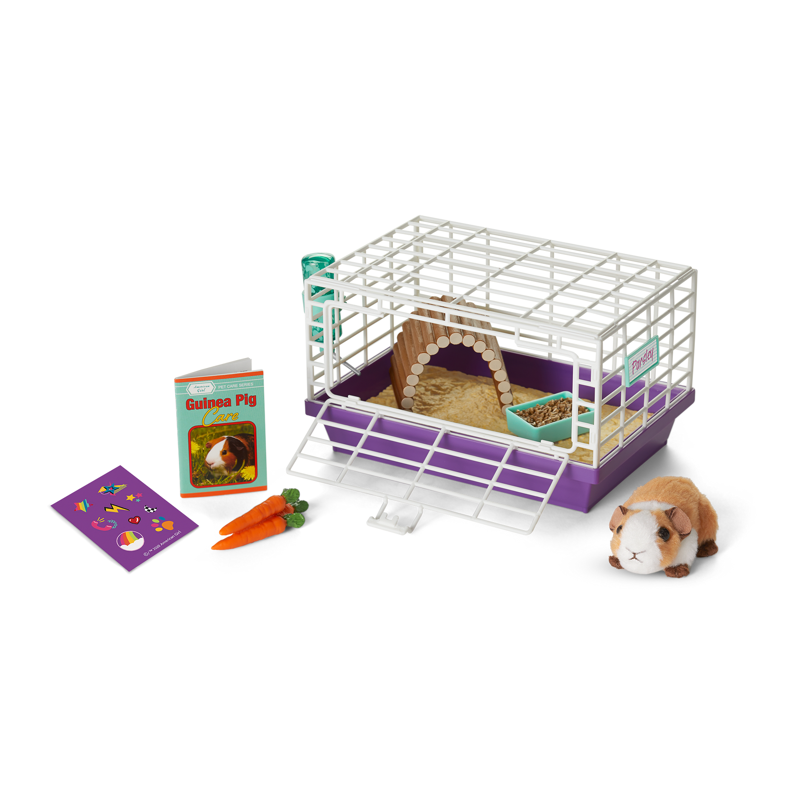 Courtney's™ Guinea Pig (Historical Characters) V7